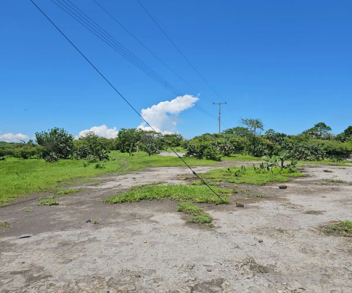 Terreno En Venta,Carretera a Palmarejo S/N, Moyahua de Estrada, Zacatecas 99998,1 Baño,Carretera a Palmarejo,1,peOyPkG