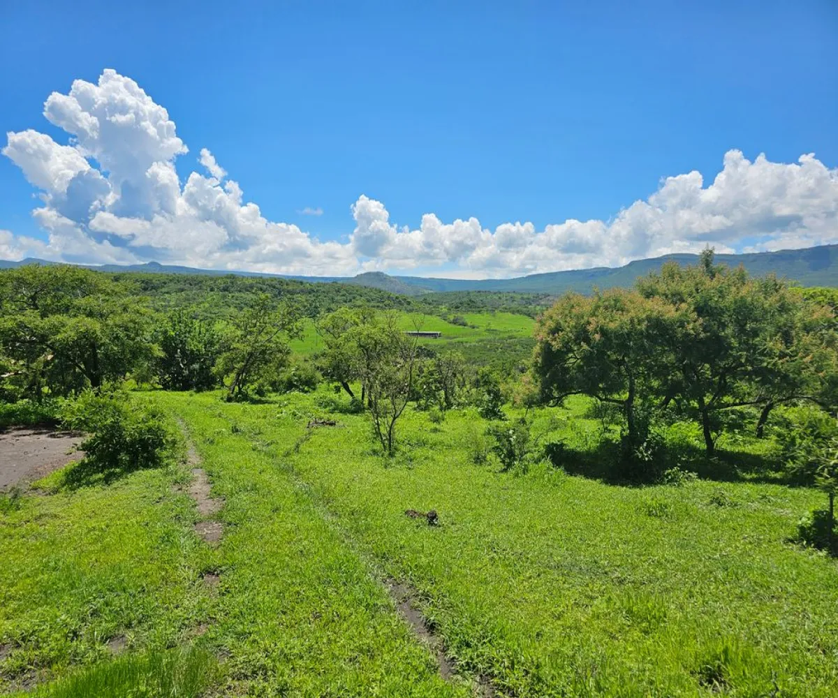 Terreno En Venta,Carretera a Palmarejo S/N, Moyahua de Estrada, Zacatecas 99998,1 Baño,Carretera a Palmarejo,1,peOyPkG