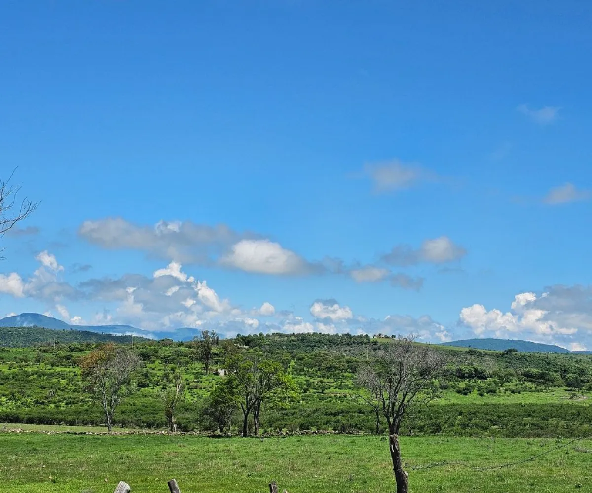 Terreno En Venta,Carretera a Palmarejo S/N, Moyahua de Estrada, Zacatecas 99998,1 Baño,Carretera a Palmarejo,1,peOyPkG