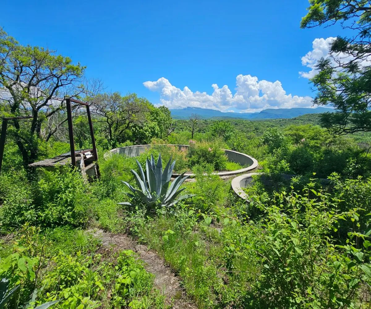 Terreno En Venta,Carretera a Palmarejo S/N, Moyahua de Estrada, Zacatecas 99998,1 Baño,Carretera a Palmarejo,1,peOyPkG