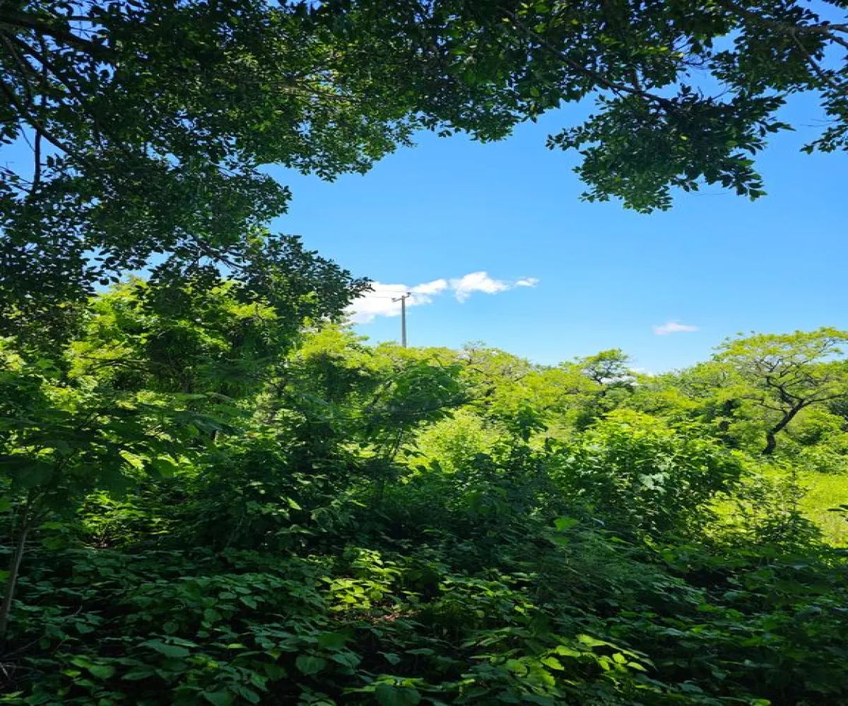 Terreno En Venta,Carretera a Palmarejo S/N, Moyahua de Estrada, Zacatecas 99998,1 Baño,Carretera a Palmarejo,1,peOyPkG