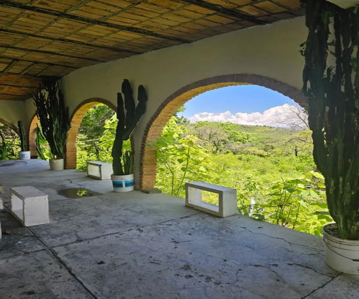 Terreno En Venta,Carretera a Palmarejo S/N, Moyahua de Estrada, Zacatecas 99998,1 Baño,Carretera a Palmarejo,1,peOyPkG