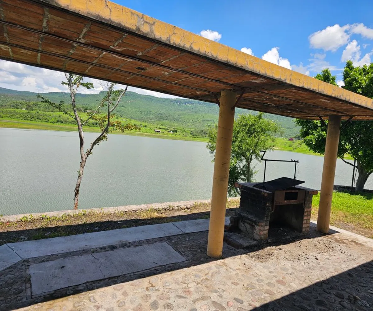 Terreno En Venta,Carretera a Palmarejo S/N, Moyahua de Estrada, Zacatecas 99998,1 Baño,Carretera a Palmarejo,1,peOyPkG