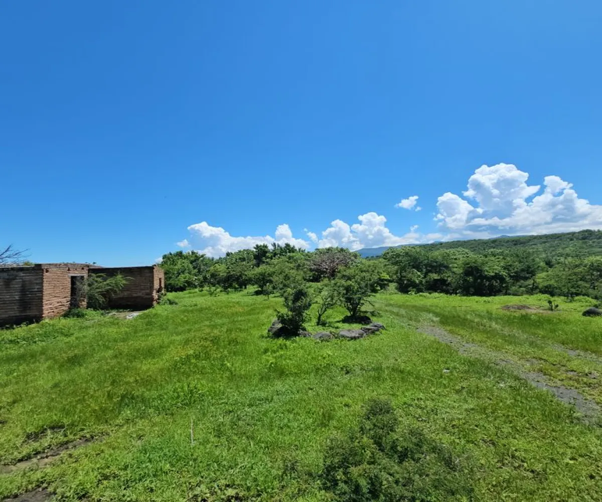 Terreno En Venta,Carretera a Palmarejo S/N, Moyahua de Estrada, Zacatecas 99998,1 Baño,Carretera a Palmarejo,1,peOyPkG