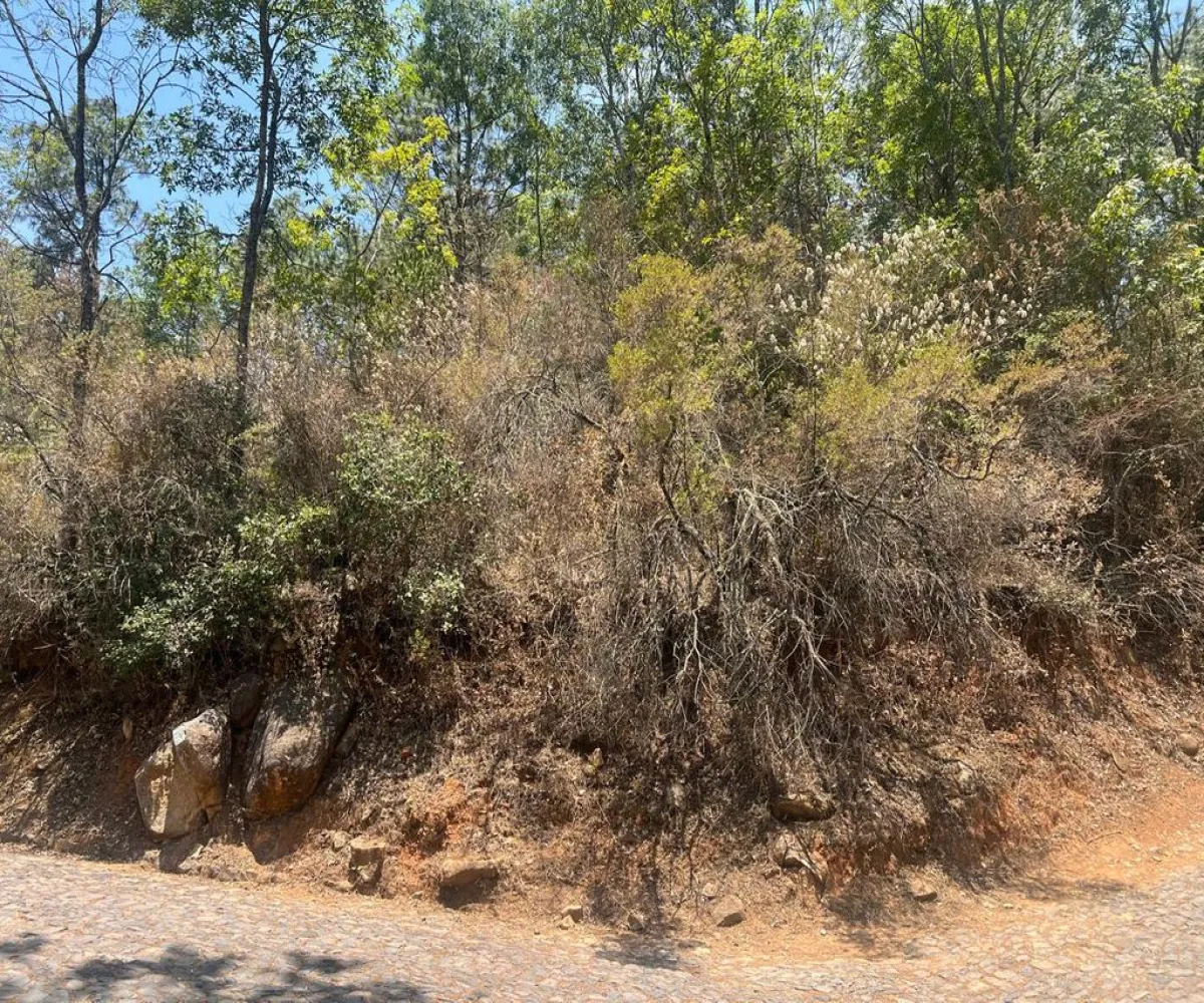 Terreno En Venta,Tapalpa Country Club,Rancho Pinto S/N, Tapalpa, Jalisco,Rancho Pinto,pMznAeE Terreno En Venta,Tapalpa Country Club,Rancho Pinto S/N, Tapalpa, Jalisco,Rancho Pinto,pMznAeE