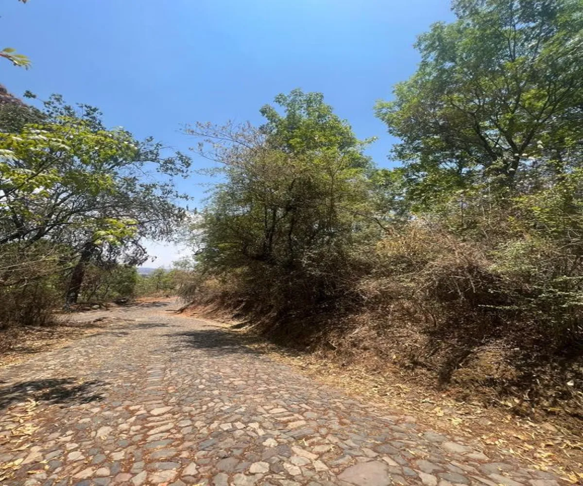 Terreno En Venta,Tapalpa Country Club,Rancho Pinto S/N, Tapalpa, Jalisco,Rancho Pinto,pMznAeE Terreno En Venta,Tapalpa Country Club,Rancho Pinto S/N, Tapalpa, Jalisco,Rancho Pinto,pMznAeE