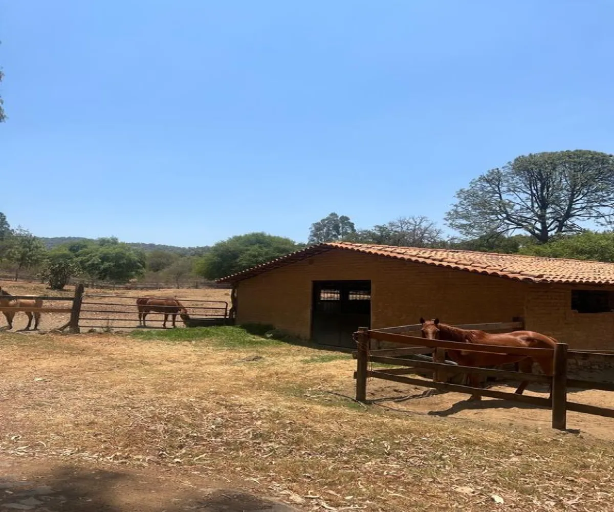 Terreno En Venta,Tapalpa Country Club,Rancho Pinto S/N, Tapalpa, Jalisco,Rancho Pinto,pMznAeE Terreno En Venta,Tapalpa Country Club,Rancho Pinto S/N, Tapalpa, Jalisco,Rancho Pinto,pMznAeE