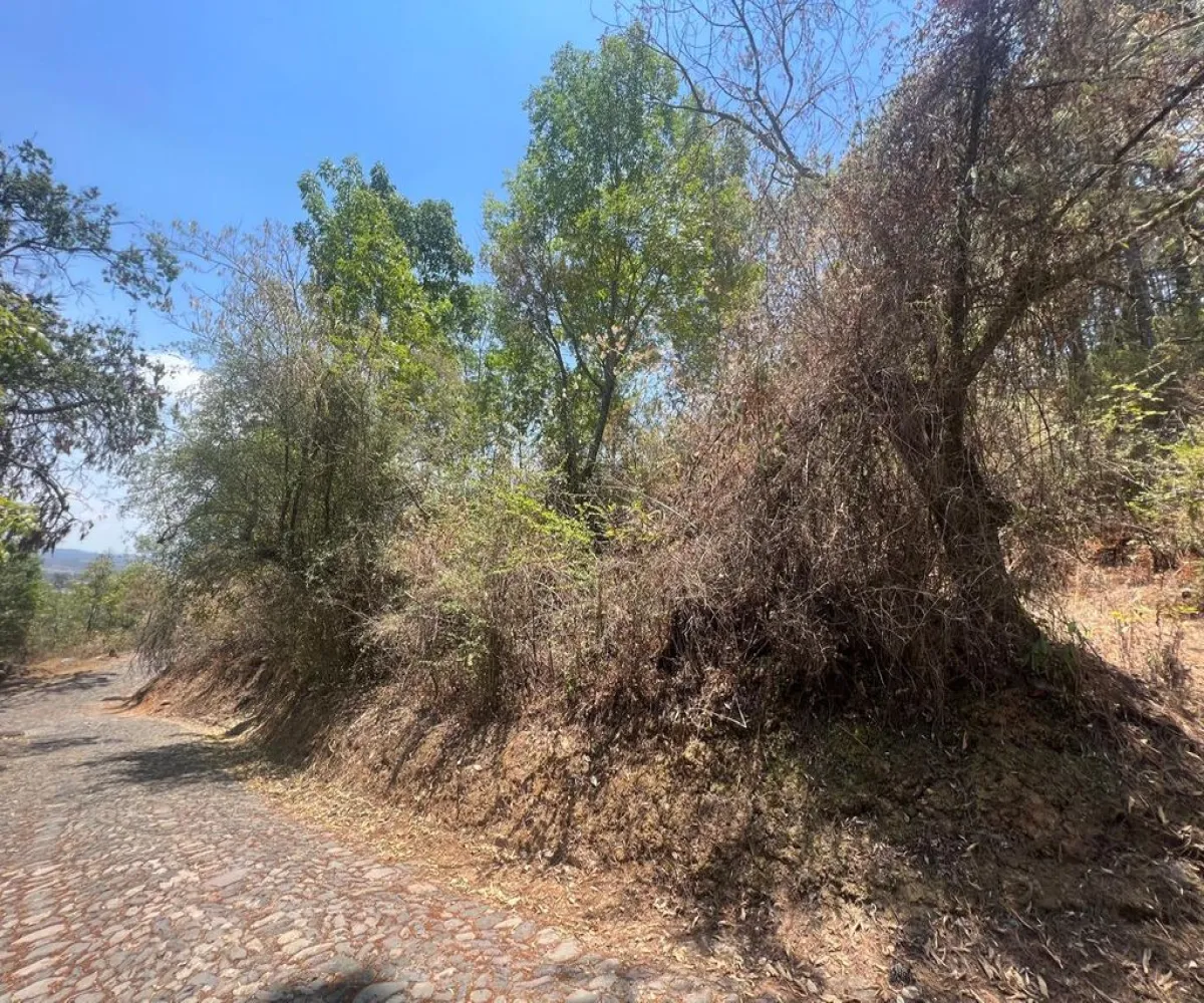 Terreno En Venta,Tapalpa Country Club,Rancho Pinto S/N, Tapalpa, Jalisco,Rancho Pinto,pMznAeE Terreno En Venta,Tapalpa Country Club,Rancho Pinto S/N, Tapalpa, Jalisco,Rancho Pinto,pMznAeE