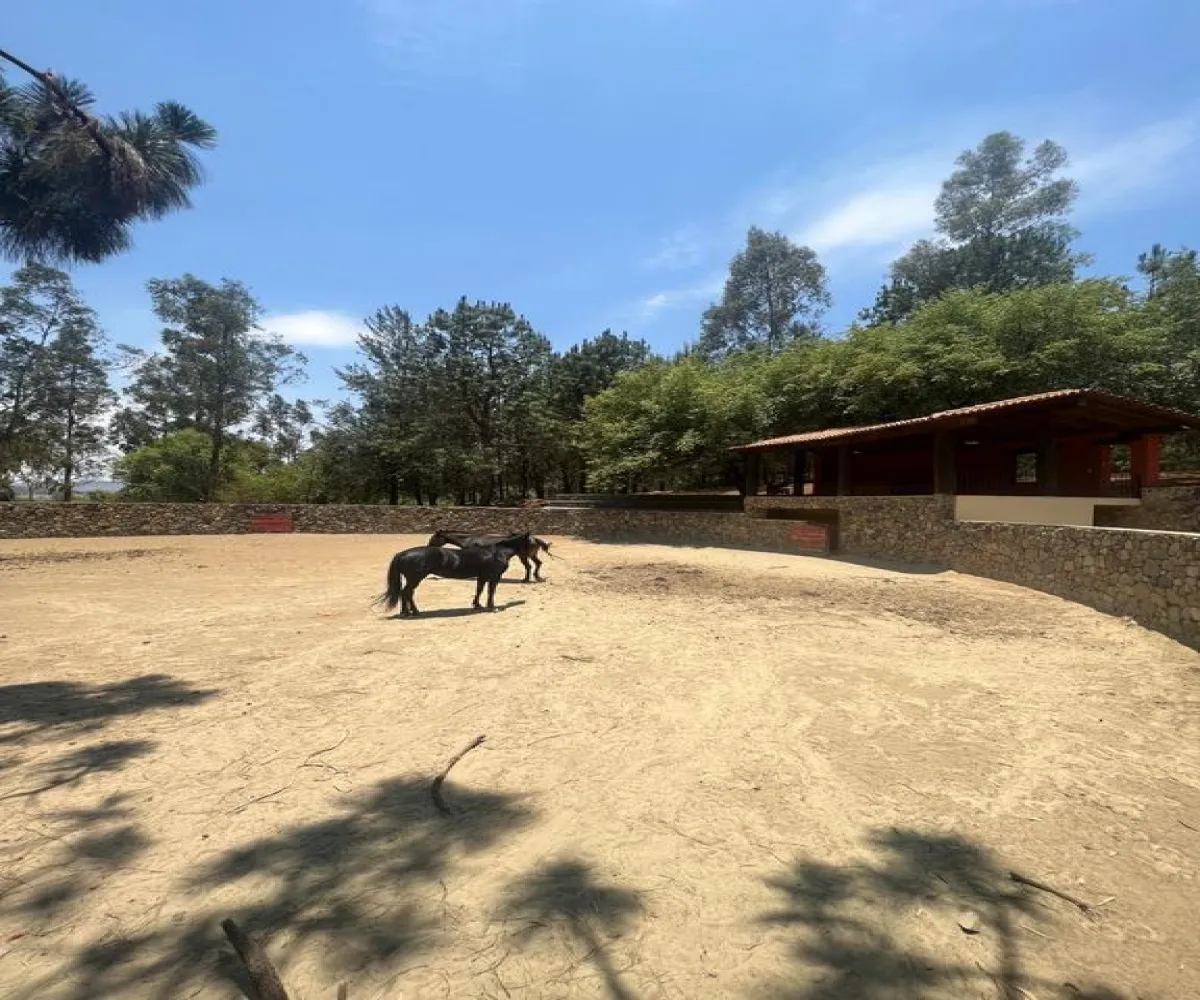 Terreno En Venta,Tapalpa Country Club,Rancho Pinto S/N, Tapalpa, Jalisco,Rancho Pinto,pMznAeE Terreno En Venta,Tapalpa Country Club,Rancho Pinto S/N, Tapalpa, Jalisco,Rancho Pinto,pMznAeE