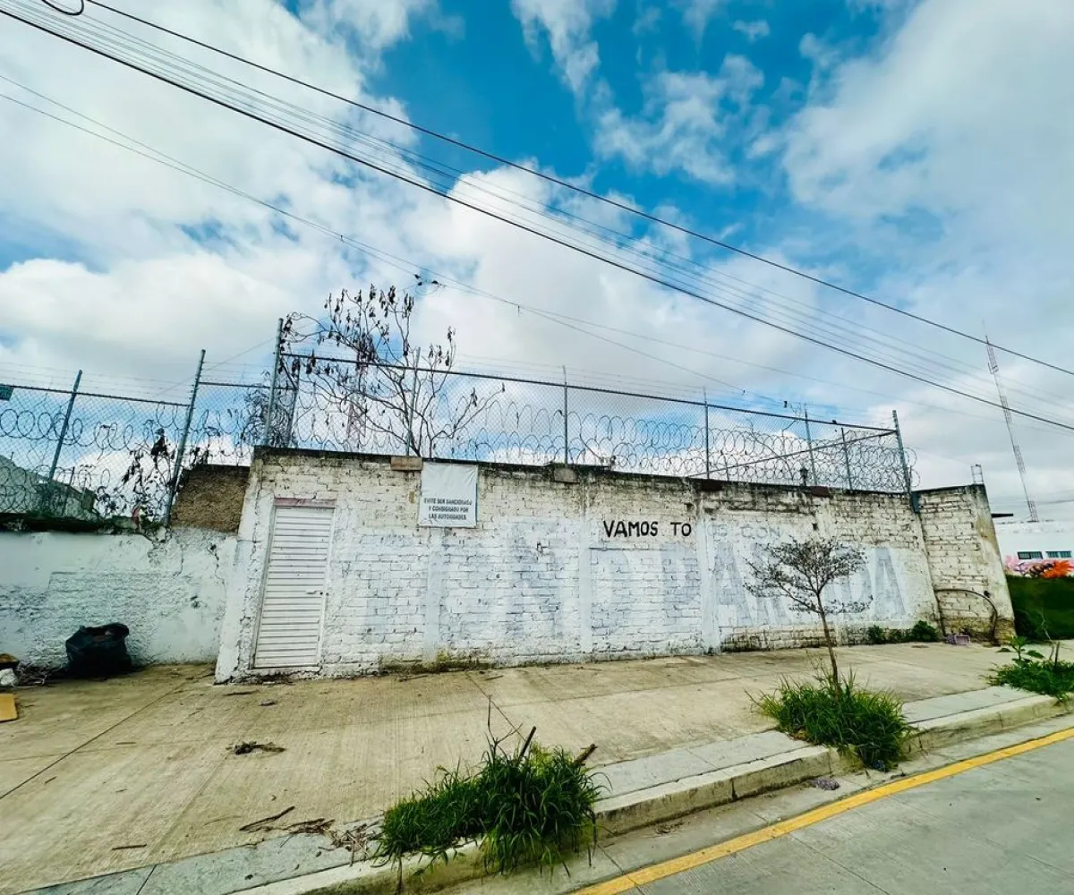 Terreno En Renta,La Palmita,Plan de Guadalupe 526, Zapopan, Jalisco 45190,Plan de Guadalupe,pPlOCZo