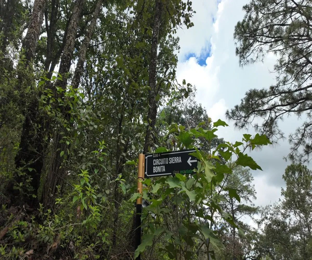 Terreno En Venta,Mazamitla,Calle 16 Septiembre 200, Mazamitla, Jalisco 49500,Calle 16 Septiembre,pQC0Lro