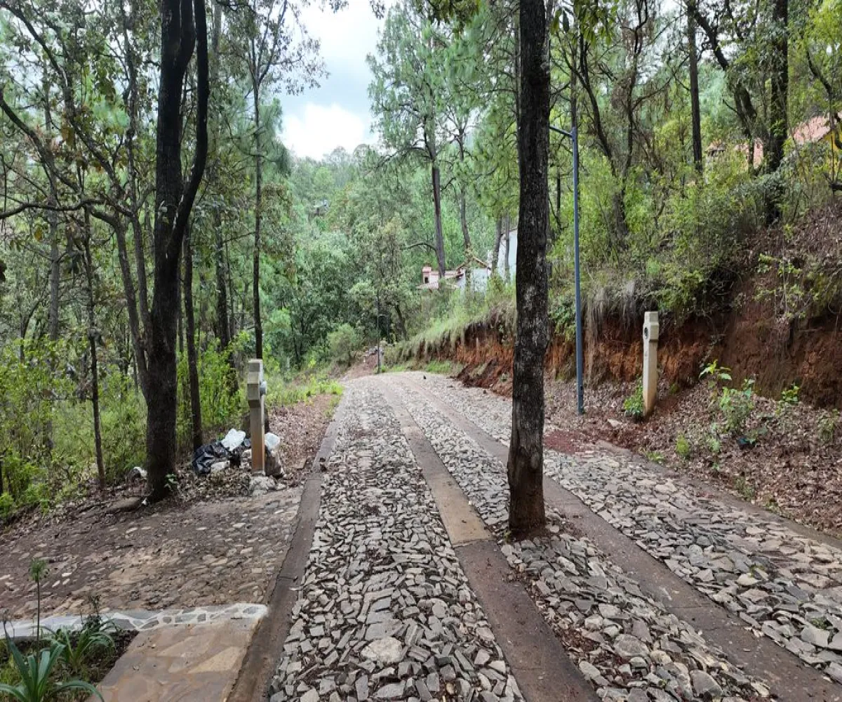 Terreno En Venta,Mazamitla,Calle 16 Septiembre 200, Mazamitla, Jalisco 49500,Calle 16 Septiembre,pQC0Lro