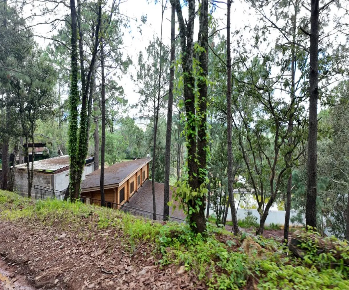 Terreno En Venta,Mazamitla,Calle 16 Septiembre 200, Mazamitla, Jalisco 49500,Calle 16 Septiembre,pQC0Lro