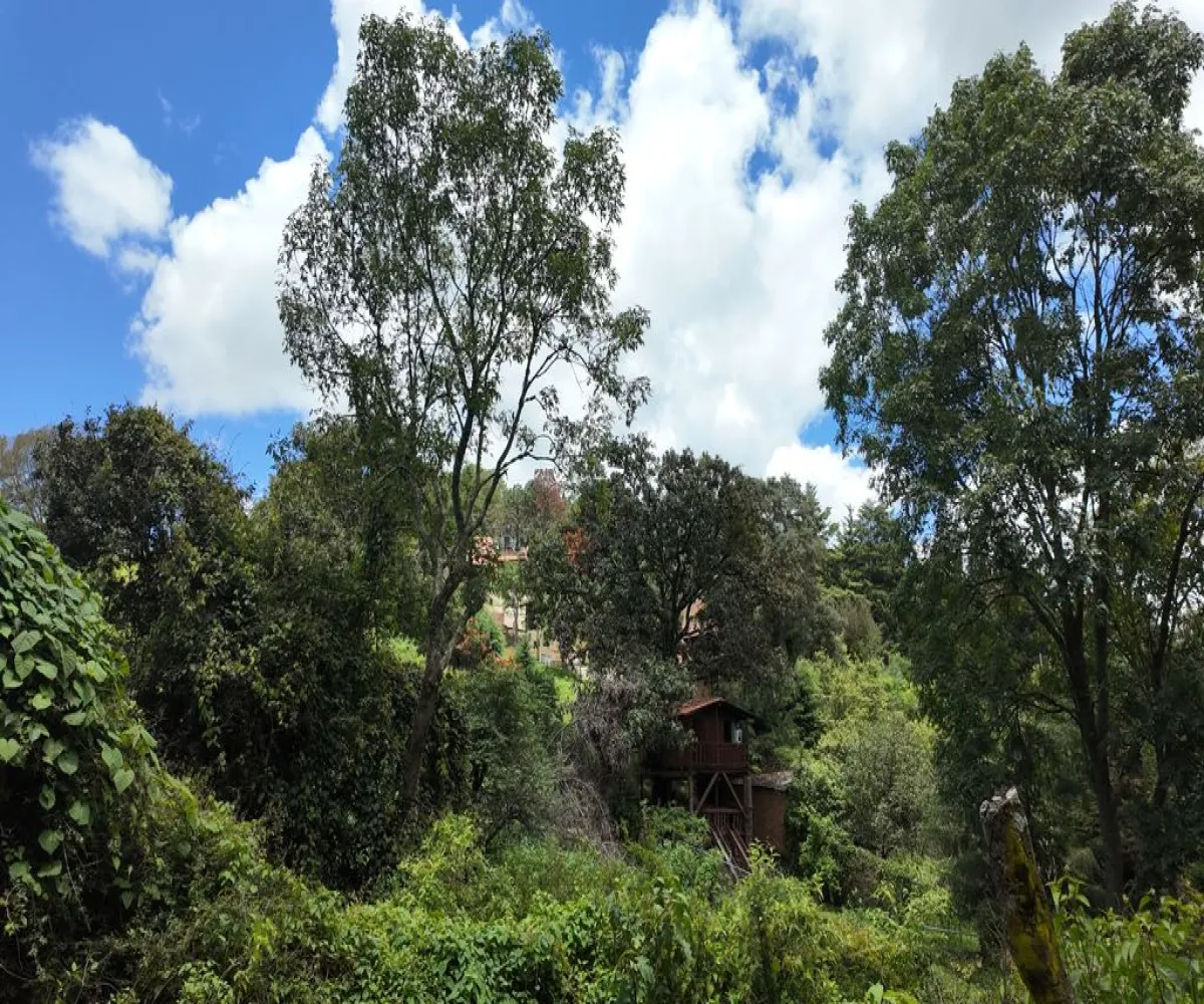 Terreno En Venta,Mazamitla,Calle 16 Septiembre 200, Mazamitla, Jalisco 49500,Calle 16 Septiembre,pQC0Lro