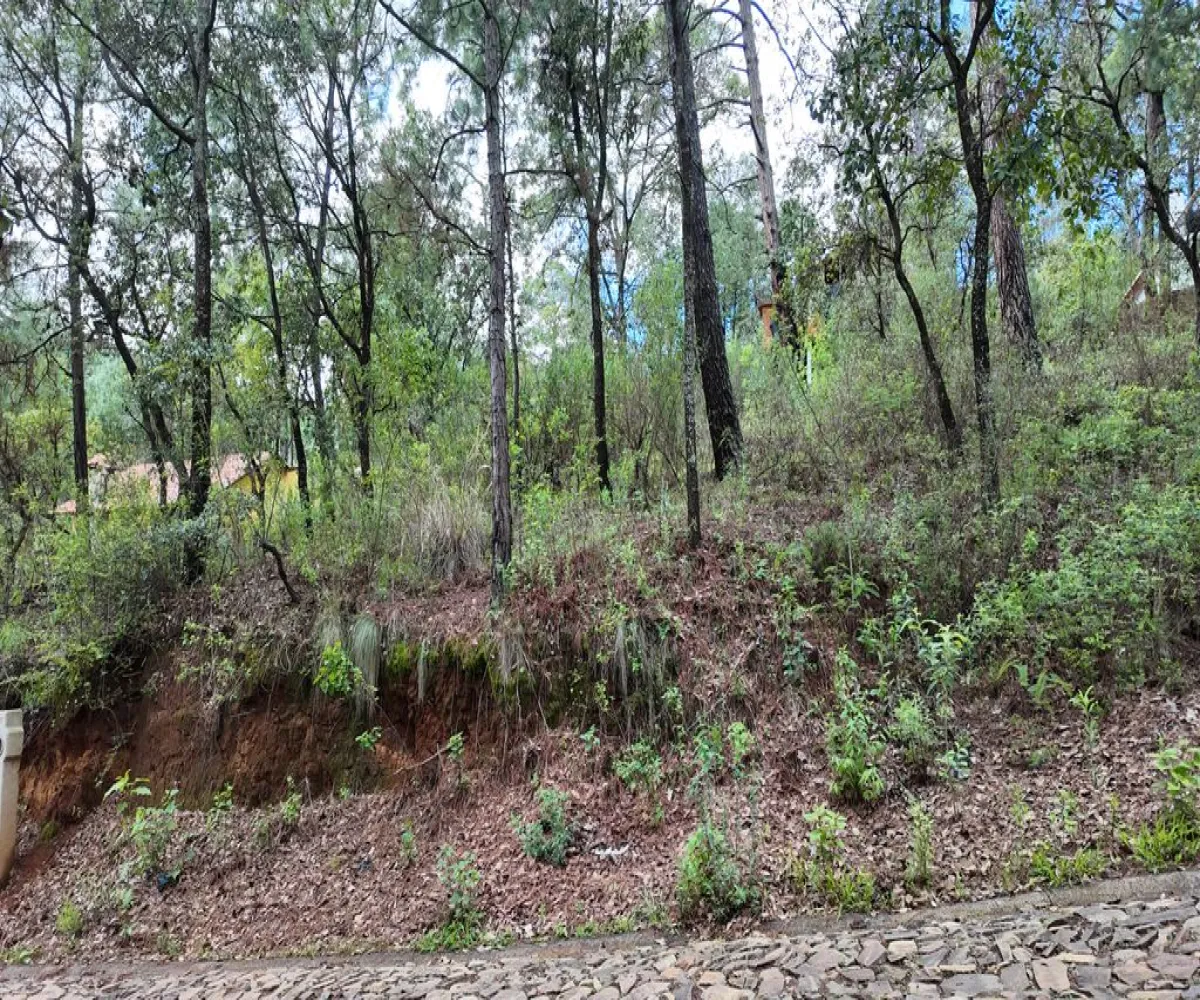 Terreno En Venta,Mazamitla,Calle 16 Septiembre 200, Mazamitla, Jalisco 49500,Calle 16 Septiembre,pQC0Lro