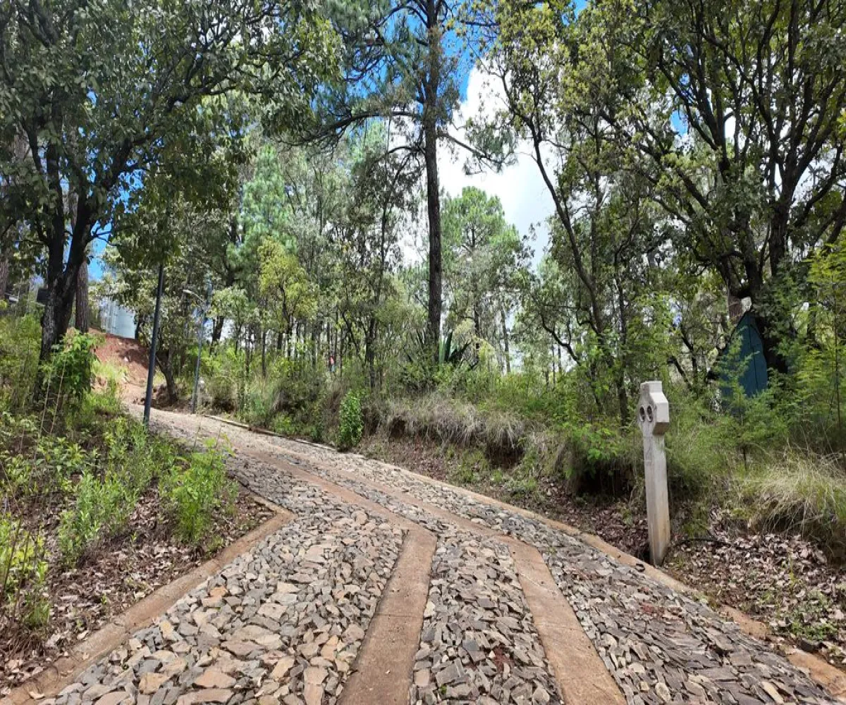 Terreno En Venta,Mazamitla,Calle 16 Septiembre 200, Mazamitla, Jalisco 49500,Calle 16 Septiembre,pQC0Lro