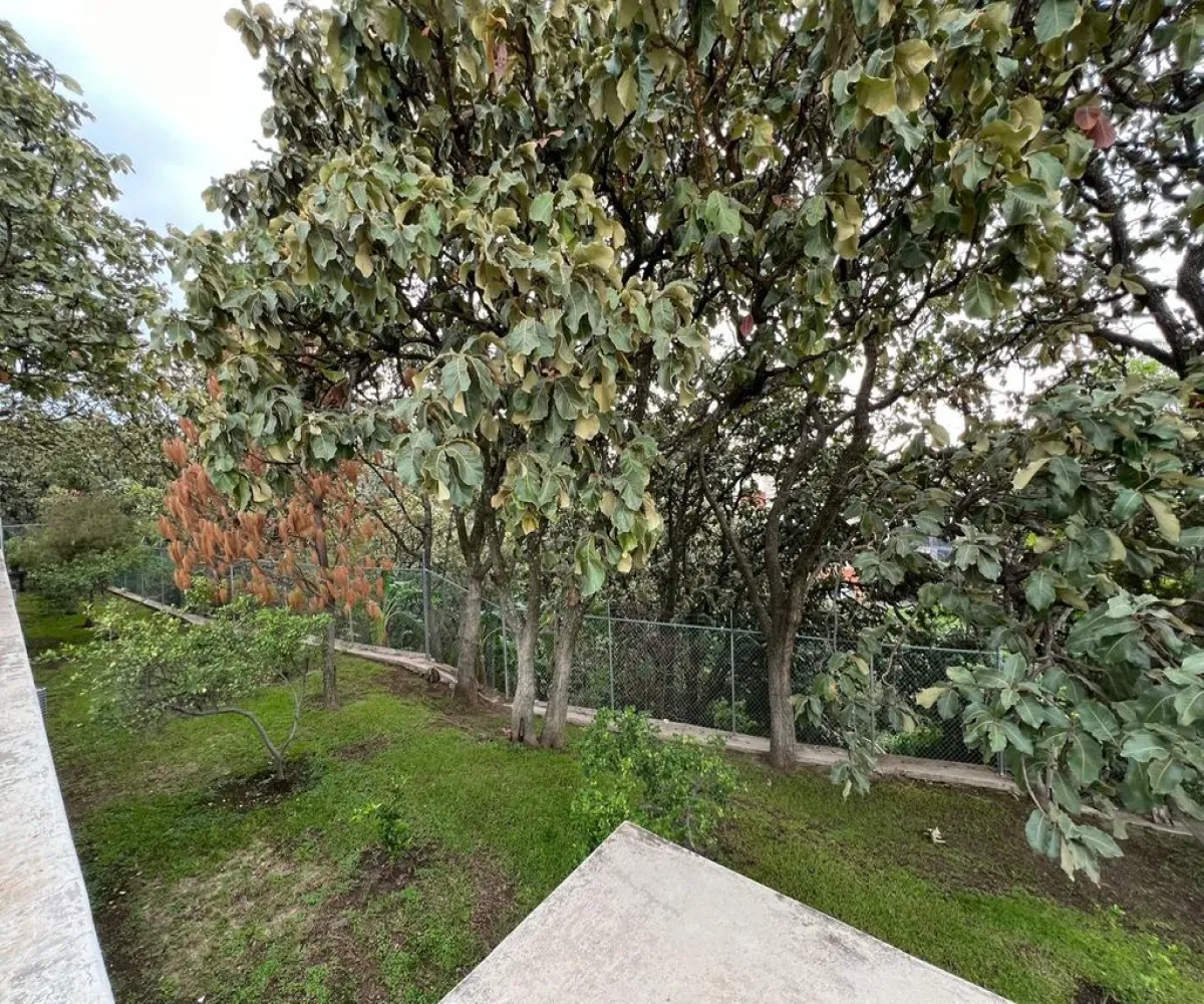 Casa En Venta,El Palomar,P. DE LOS LAURELES 151, Tlajomulco de Zúñiga, Jalisco 45643, 2 Habitaciones,2 Baños,P. DE LOS LAURELES ,1,pHXAwxt Casa En Venta,El Palomar,P. DE LOS LAURELES 151, Tlajomulco de Zúñiga, Jalisco 45643, 2 Habitaciones,2 Baños,P. DE LOS LAURELES ,1,pHXAwxt