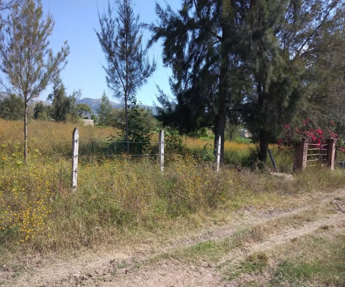 Terreno En Venta,San Marcos,Cardenal S/N, San Marcos, Jalisco 46540,Cardenal,p4bQNcN Terreno En Venta,San Marcos,Cardenal S/N, San Marcos, Jalisco 46540,Cardenal,p4bQNcN