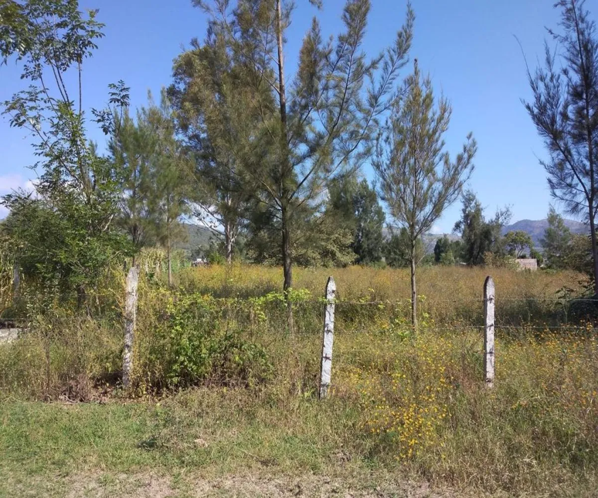 Terreno En Venta,San Marcos,Cardenal S/N, San Marcos, Jalisco 46540,Cardenal,p4bQNcN Terreno En Venta,San Marcos,Cardenal S/N, San Marcos, Jalisco 46540,Cardenal,p4bQNcN