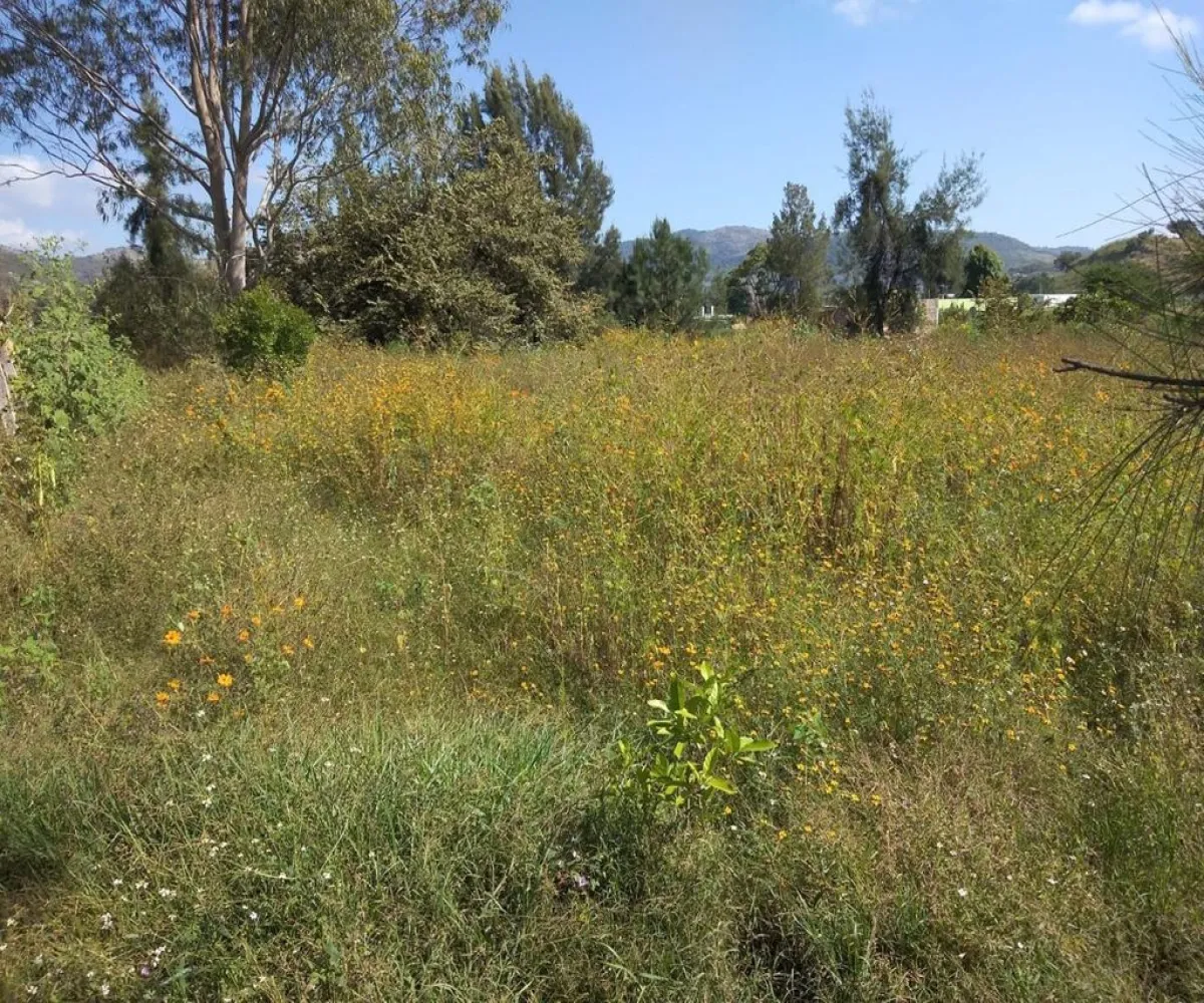 Terreno En Venta,San Marcos,Cardenal S/N, San Marcos, Jalisco 46540,Cardenal,p4bQNcN Terreno En Venta,San Marcos,Cardenal S/N, San Marcos, Jalisco 46540,Cardenal,p4bQNcN