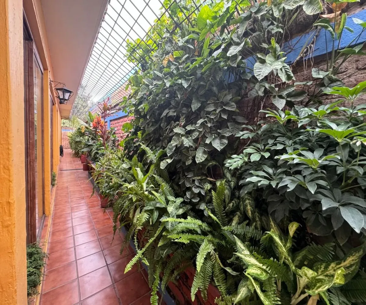 Terreno En Venta,Hogares de nuevo mexico ,El Zapote 110 110, Zapopan, Jalisco 45138,El Zapote,pjHxCwD Terreno En Venta,Hogares de nuevo mexico ,El Zapote 110 110, Zapopan, Jalisco 45138,El Zapote,pjHxCwD