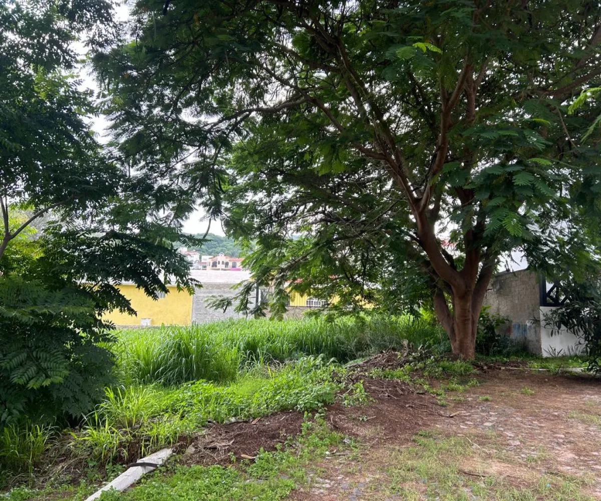 Terreno En Venta,Lomas De Santa Anita,Rinconada de las Rosas S/N 14, Tlajomulco de Zúñiga, Jalisco 45645,Rinconada de las Rosas,pEzq57c