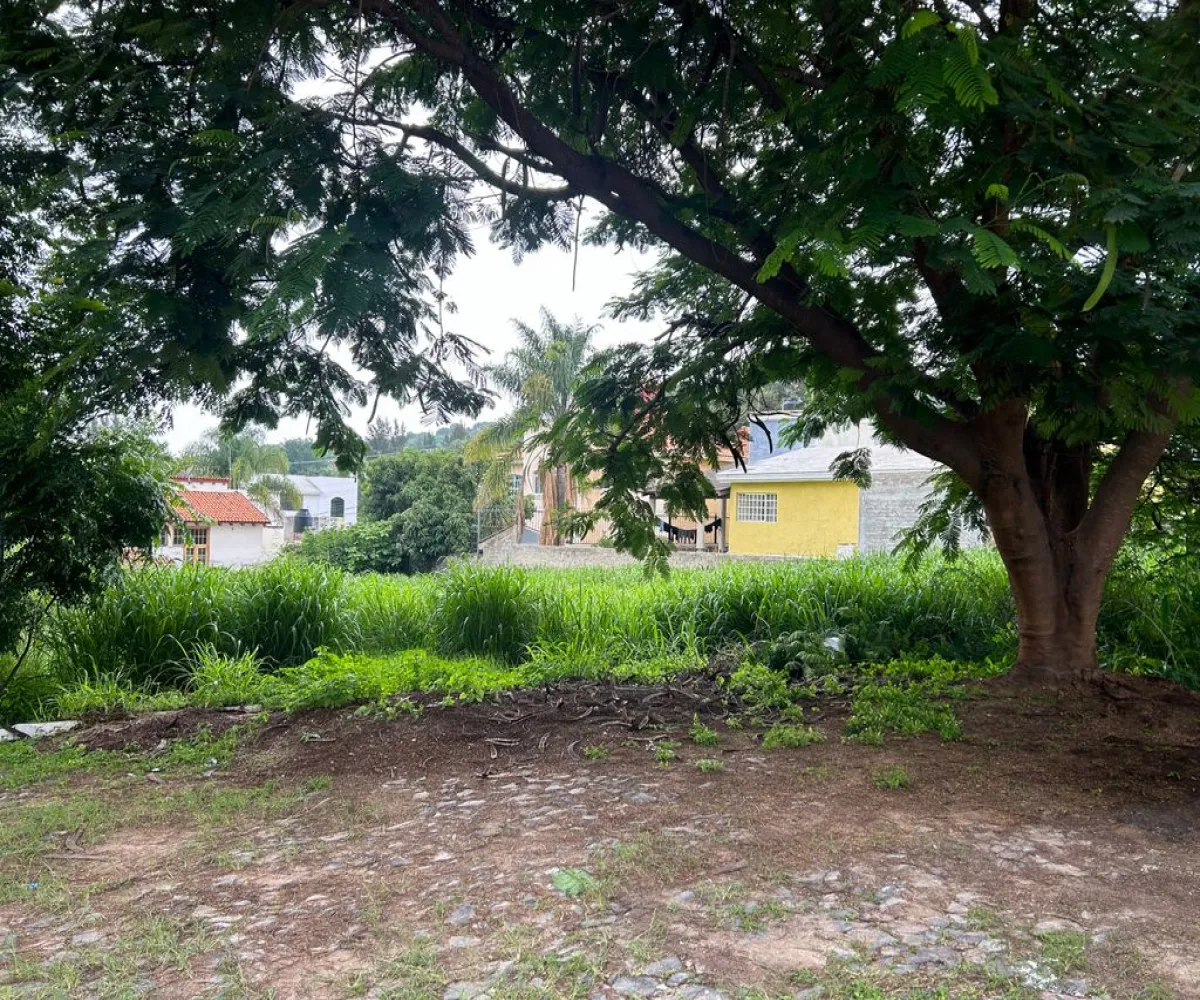 Terreno En Venta,Lomas De Santa Anita,Rinconada de las Rosas S/N 14, Tlajomulco de Zúñiga, Jalisco 45645,Rinconada de las Rosas,pEzq57c