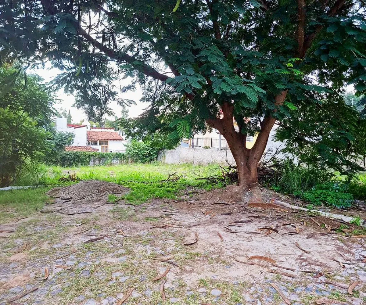 Terreno En Venta,Lomas De Santa Anita,Rinconada de las Rosas S/N 14, Tlajomulco de Zúñiga, Jalisco 45645,Rinconada de las Rosas,pEzq57c
