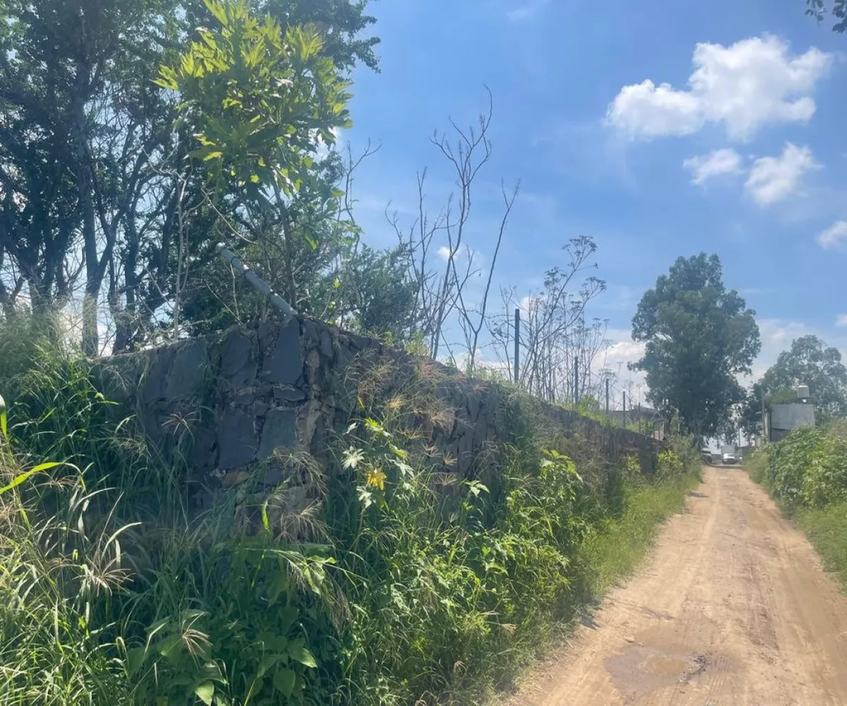 Terreno En Venta,Pueblo San Martin,Privada El Cerrito S/N, San Pedro Tlaquepaque, Jalisco 45620,Privada El Cerrito,pQiPlT2 Terreno En Venta,Pueblo San Martin,Privada El Cerrito S/N, San Pedro Tlaquepaque, Jalisco 45620,Privada El Cerrito,pQiPlT2