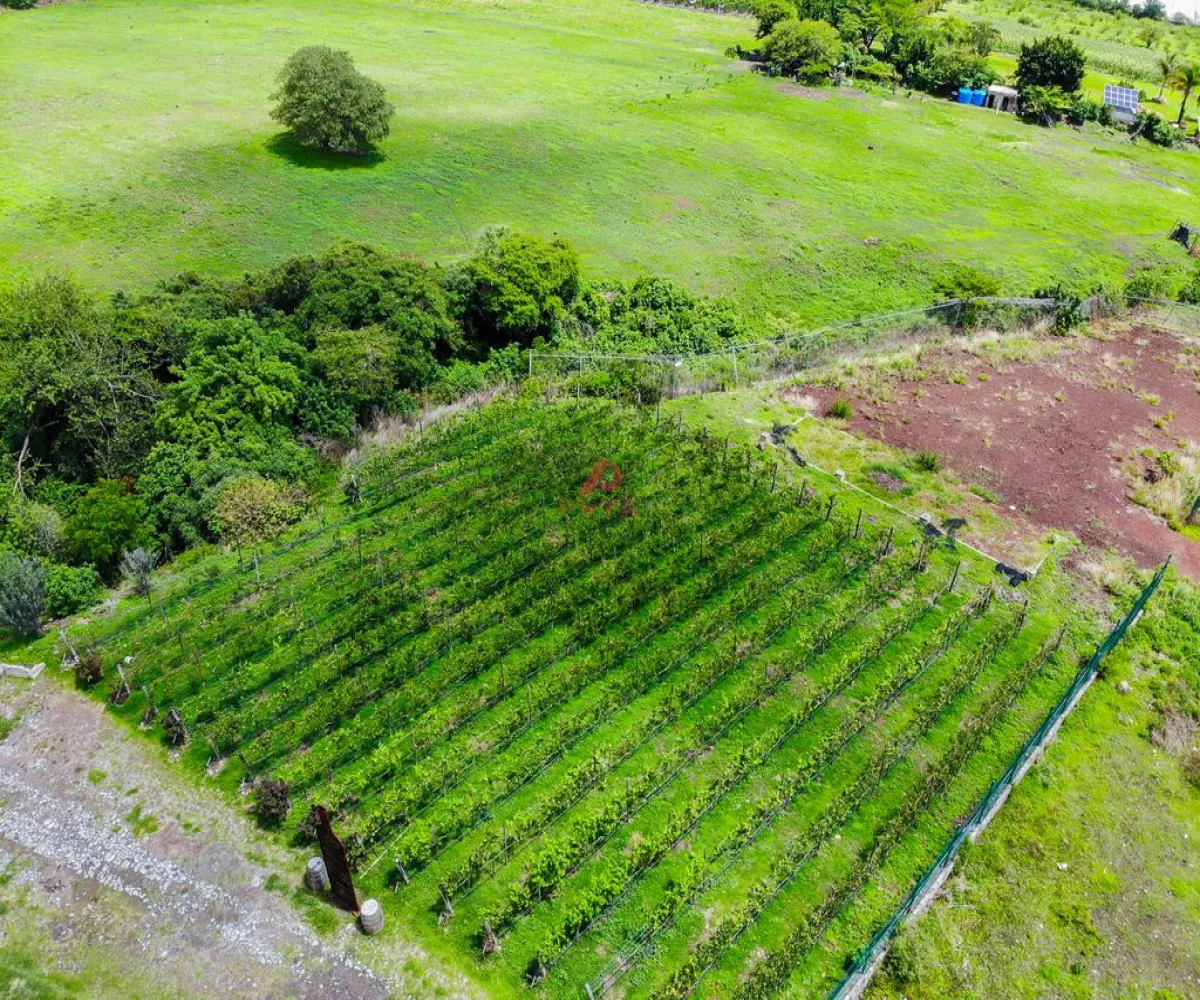 Edificio En Venta,San Cristobal Zapotitlan,Hotel Quinta Fabiana 100, Jocotepec, Jalisco 45840,1 Baño,Hotel Quinta Fabiana,1,pdeJUjV