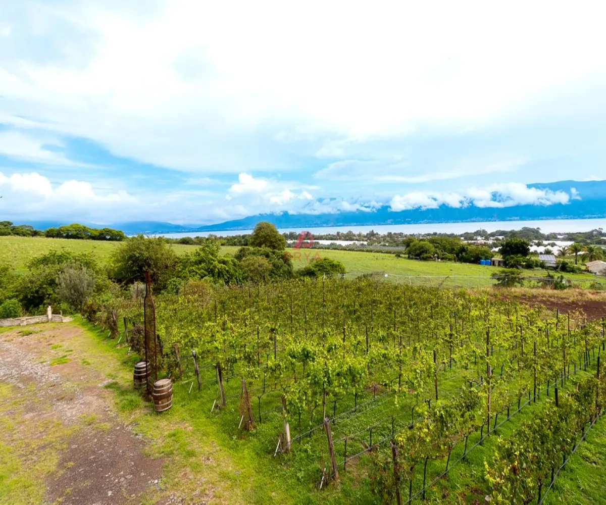 Edificio En Venta,San Cristobal Zapotitlan,Hotel Quinta Fabiana 100, Jocotepec, Jalisco 45840,1 Baño,Hotel Quinta Fabiana,1,pdeJUjV