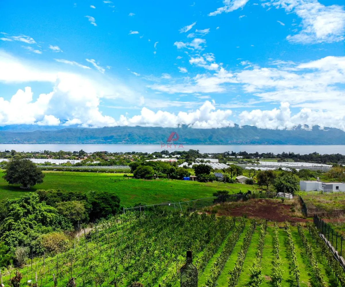 Edificio En Venta,San Cristobal Zapotitlan,Hotel Quinta Fabiana 100, Jocotepec, Jalisco 45840,1 Baño,Hotel Quinta Fabiana,1,pdeJUjV