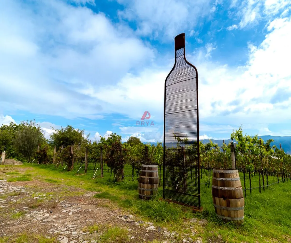 Edificio En Venta,San Cristobal Zapotitlan,Hotel Quinta Fabiana 100, Jocotepec, Jalisco 45840,1 Baño,Hotel Quinta Fabiana,1,pdeJUjV