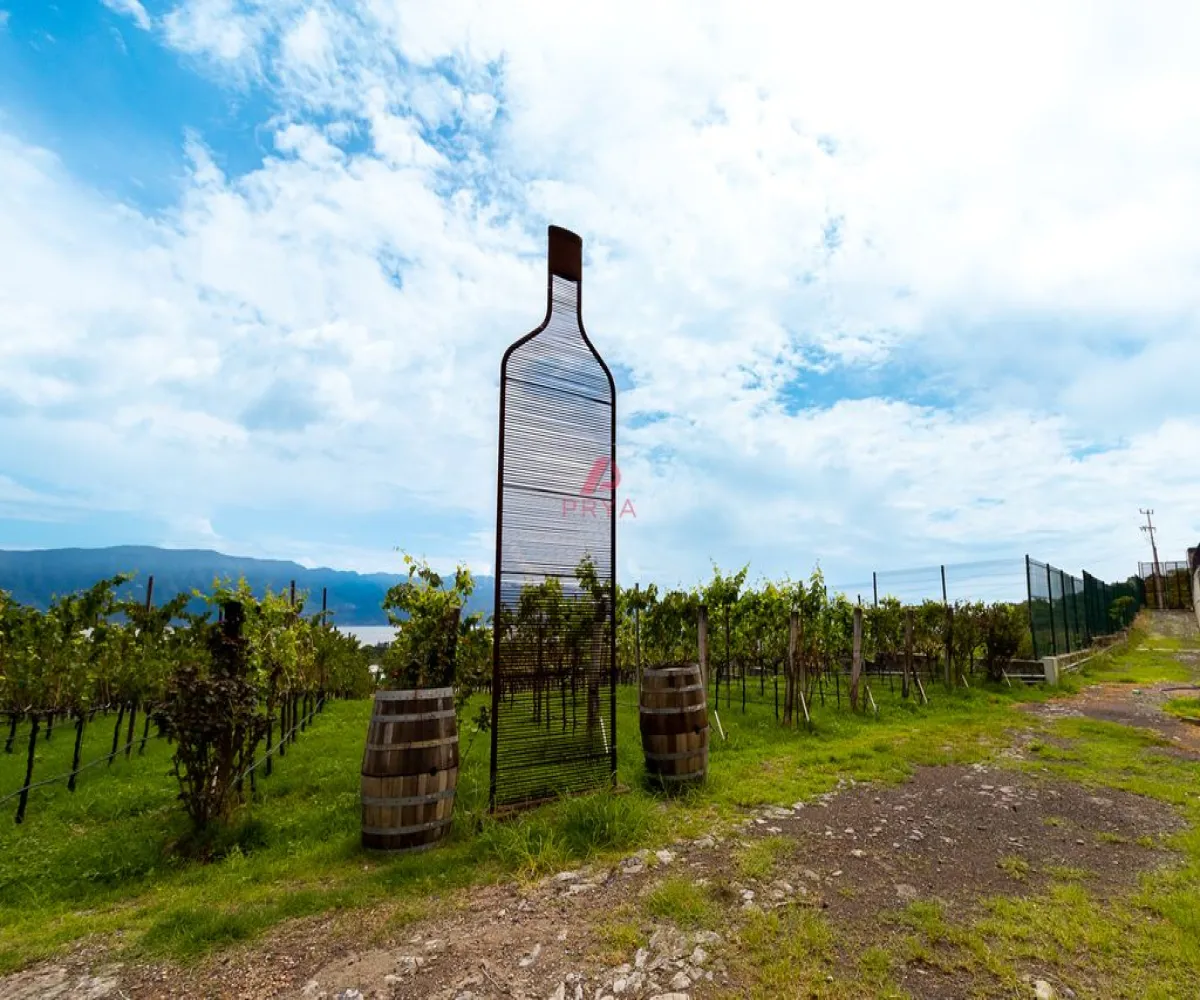 Edificio En Venta,San Cristobal Zapotitlan,Hotel Quinta Fabiana 100, Jocotepec, Jalisco 45840,1 Baño,Hotel Quinta Fabiana,1,pdeJUjV