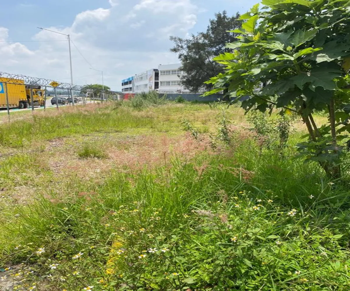 Terreno En Renta,El Bajio,Avenida Del Bajío 396, Zapopan, Jalisco 45017,Avenida Del Bajío,psSQtEx Terreno En Renta,El Bajio,Avenida Del Bajío 396, Zapopan, Jalisco 45017,Avenida Del Bajío,psSQtEx