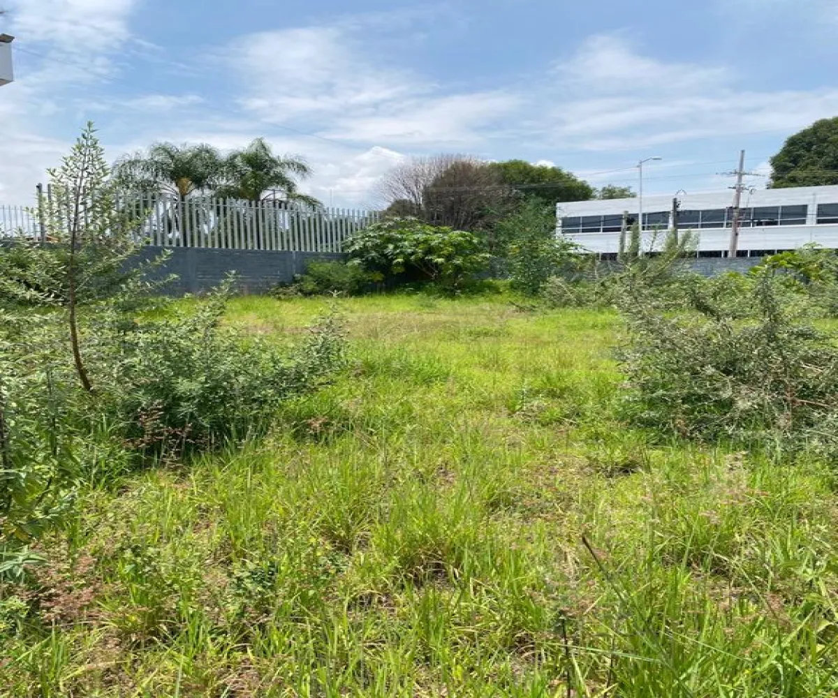 Terreno En Renta,El Bajio,Avenida Del Bajío 396, Zapopan, Jalisco 45017,Avenida Del Bajío,psSQtEx Terreno En Renta,El Bajio,Avenida Del Bajío 396, Zapopan, Jalisco 45017,Avenida Del Bajío,psSQtEx