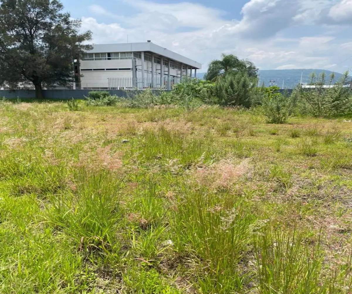 Terreno En Renta,El Bajio,Avenida Del Bajío 396, Zapopan, Jalisco 45017,Avenida Del Bajío,psSQtEx Terreno En Renta,El Bajio,Avenida Del Bajío 396, Zapopan, Jalisco 45017,Avenida Del Bajío,psSQtEx