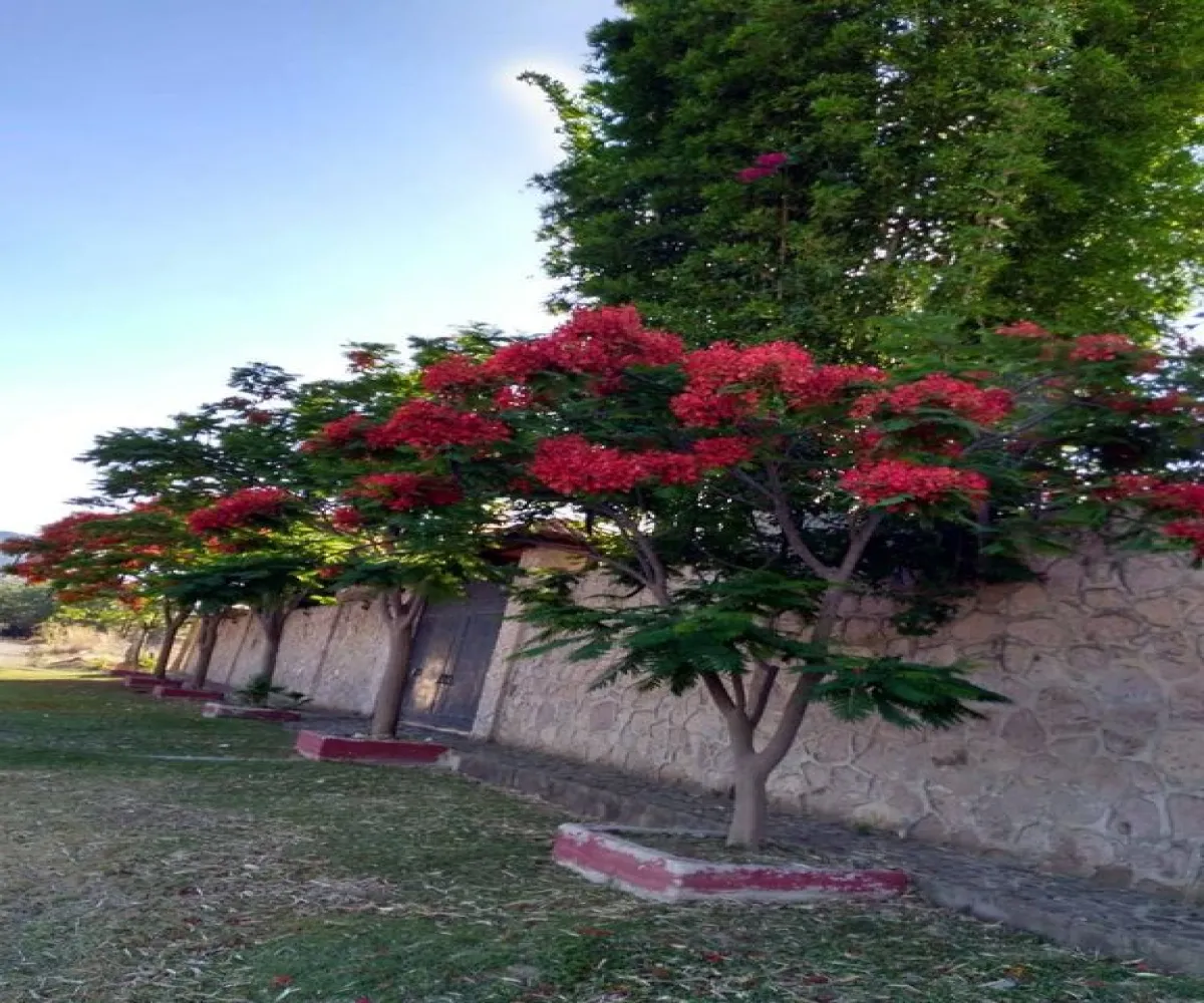 Casa En Venta,Milpillas,Cantera, esquina Onix, Lote 5, Manzana 3. S/N, Zapopan, Jalisco 45243, 1 Cuarto,3 Baños,Cantera, esquina Onix, Lote 5, Manzana 3.,1,pqXQRJs