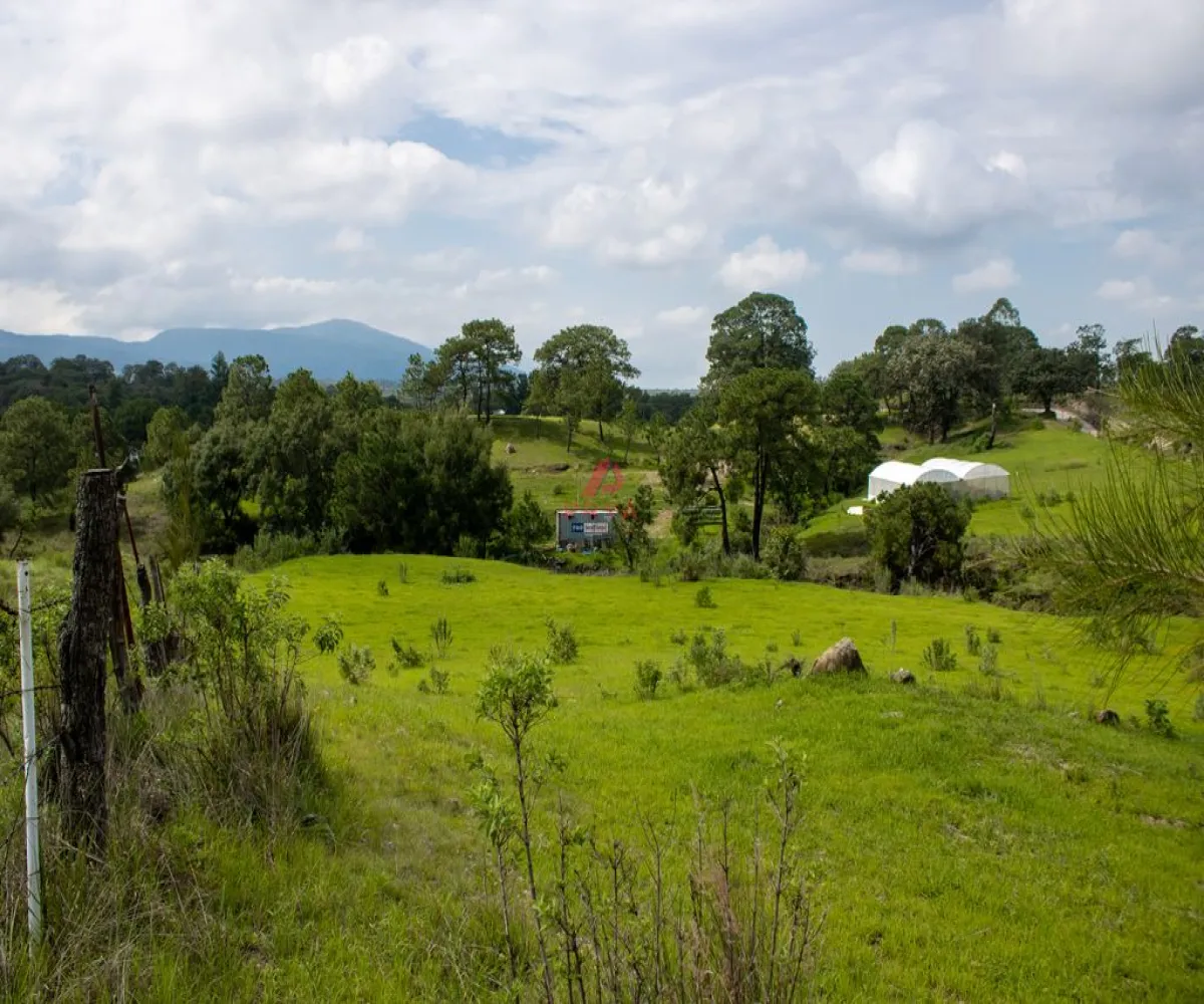 Terreno En Venta,Emiliano zapata ,Parcelas 12125, El Arenal, Jalisco 45364,Parcelas,pvYM05i Terreno En Venta,Emiliano zapata ,Parcelas 12125, El Arenal, Jalisco 45364,Parcelas,pvYM05i