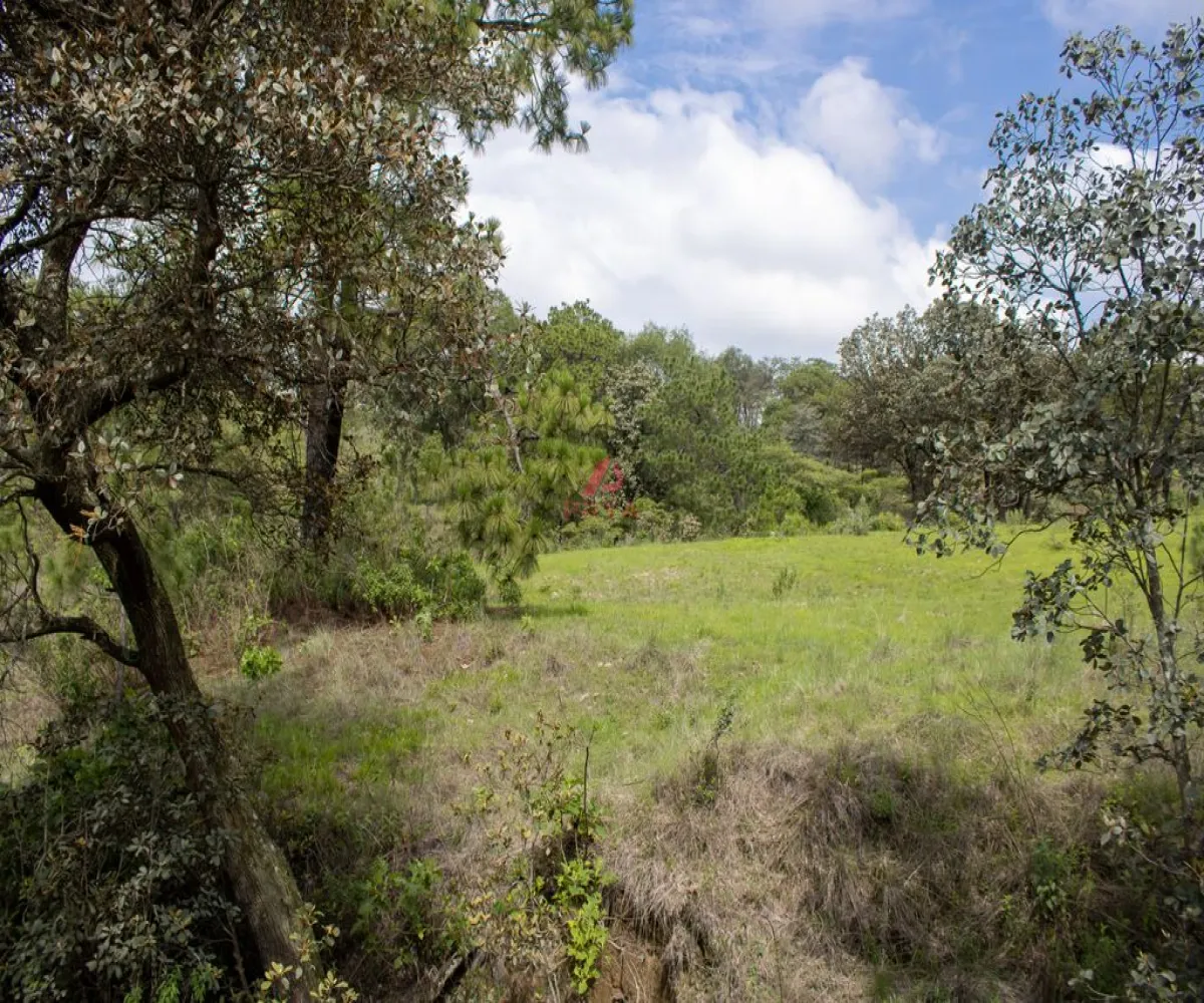 Terreno En Venta,Emiliano zapata ,Parcelas 12125, El Arenal, Jalisco 45364,Parcelas,pvYM05i Terreno En Venta,Emiliano zapata ,Parcelas 12125, El Arenal, Jalisco 45364,Parcelas,pvYM05i