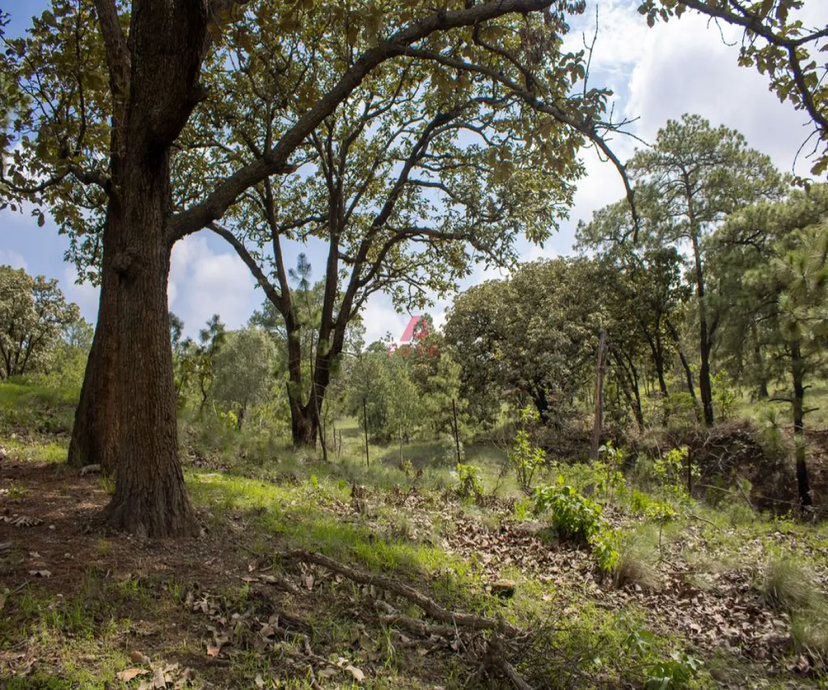 Terreno En Venta,Emiliano zapata ,Parcelas 12125, El Arenal, Jalisco 45364,Parcelas,pvYM05i Terreno En Venta,Emiliano zapata ,Parcelas 12125, El Arenal, Jalisco 45364,Parcelas,pvYM05i