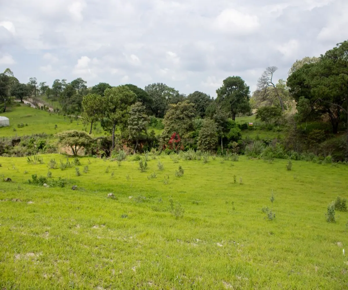 Terreno En Venta,Emiliano zapata ,Parcelas 12125, El Arenal, Jalisco 45364,Parcelas,pvYM05i Terreno En Venta,Emiliano zapata ,Parcelas 12125, El Arenal, Jalisco 45364,Parcelas,pvYM05i