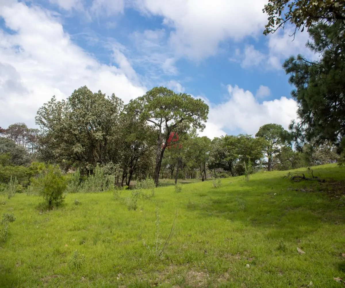 Terreno En Venta,Emiliano zapata ,Parcelas 12125, El Arenal, Jalisco 45364,Parcelas,pvYM05i Terreno En Venta,Emiliano zapata ,Parcelas 12125, El Arenal, Jalisco 45364,Parcelas,pvYM05i