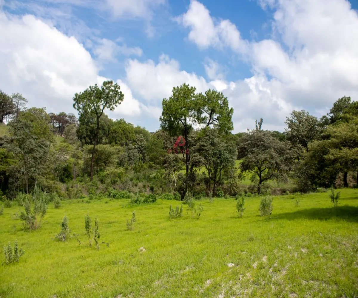 Terreno En Venta,Emiliano zapata ,Parcelas 12125, El Arenal, Jalisco 45364,Parcelas,pvYM05i Terreno En Venta,Emiliano zapata ,Parcelas 12125, El Arenal, Jalisco 45364,Parcelas,pvYM05i