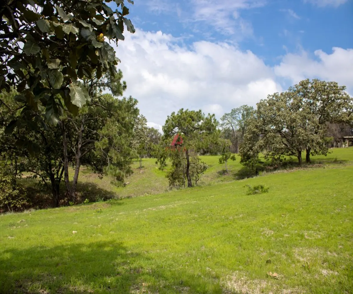 Terreno En Venta,Emiliano zapata ,Parcelas 12125, El Arenal, Jalisco 45364,Parcelas,pvYM05i Terreno En Venta,Emiliano zapata ,Parcelas 12125, El Arenal, Jalisco 45364,Parcelas,pvYM05i