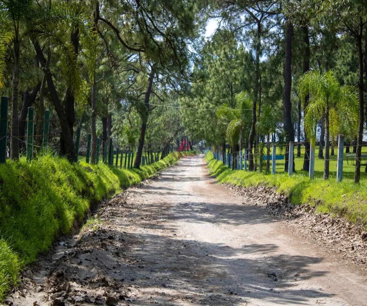 Terreno En Venta,Emiliano zapata ,Parcelas 12125, El Arenal, Jalisco 45364,Parcelas,pvYM05i Terreno En Venta,Emiliano zapata ,Parcelas 12125, El Arenal, Jalisco 45364,Parcelas,pvYM05i