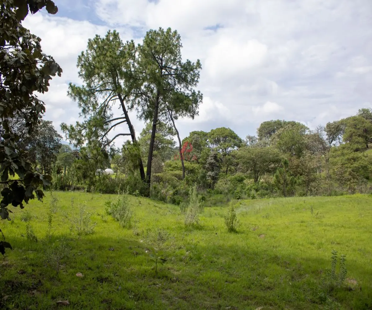 Terreno En Venta,Emiliano zapata ,Parcelas 12125, El Arenal, Jalisco 45364,Parcelas,pvYM05i Terreno En Venta,Emiliano zapata ,Parcelas 12125, El Arenal, Jalisco 45364,Parcelas,pvYM05i