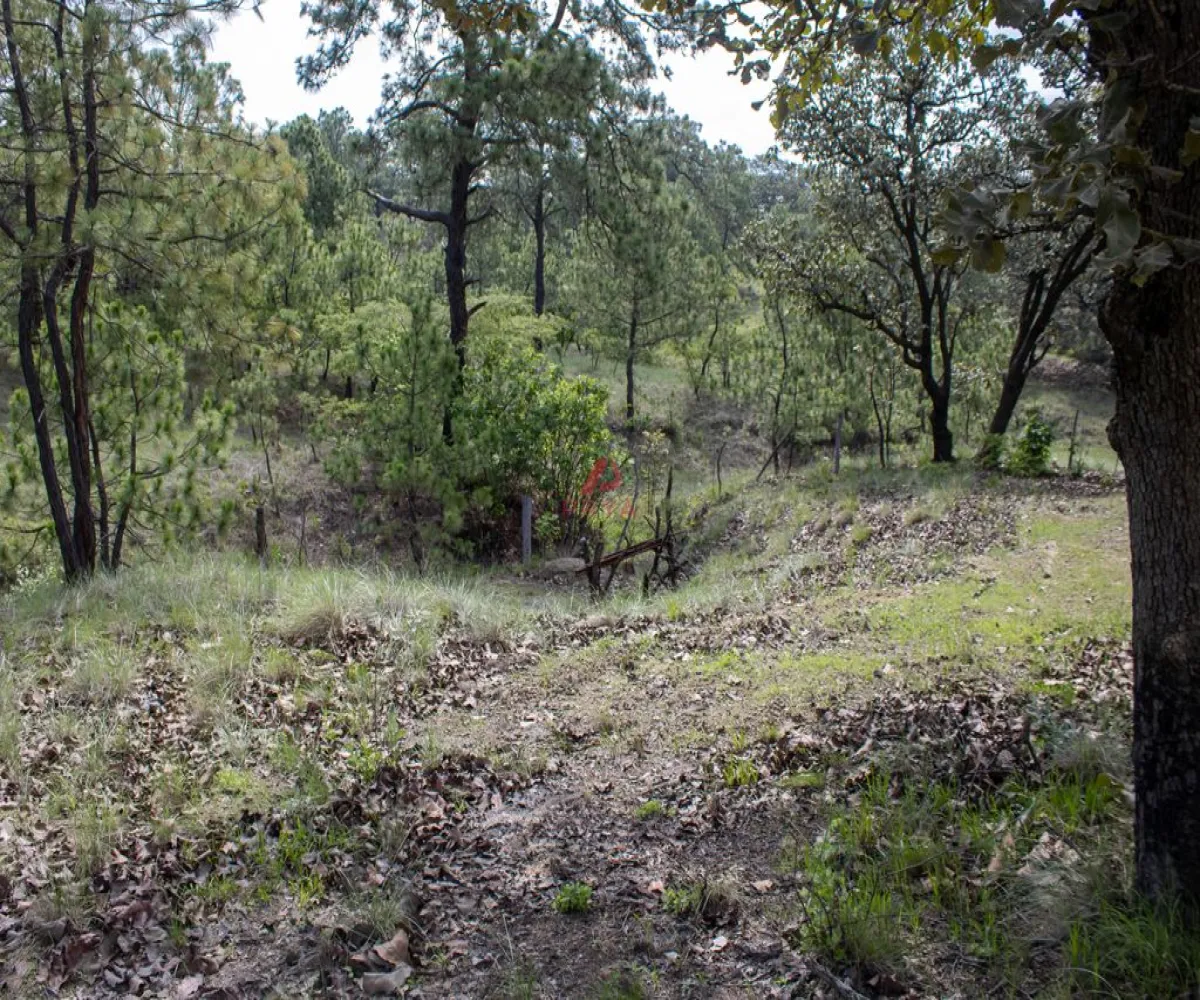 Terreno En Venta,Emiliano Zapata ,PARCELA 16125, El Arenal, Jalisco 45364,PARCELA,pWQO1C9 Terreno En Venta,Emiliano Zapata ,PARCELA 16125, El Arenal, Jalisco 45364,PARCELA,pWQO1C9