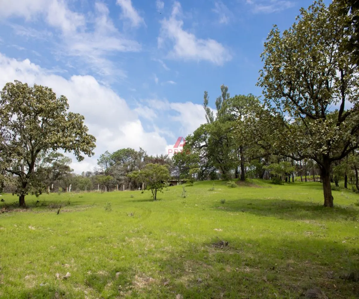 Terreno En Venta,Emiliano Zapata ,PARCELA 16125, El Arenal, Jalisco 45364,PARCELA,pWQO1C9 Terreno En Venta,Emiliano Zapata ,PARCELA 16125, El Arenal, Jalisco 45364,PARCELA,pWQO1C9