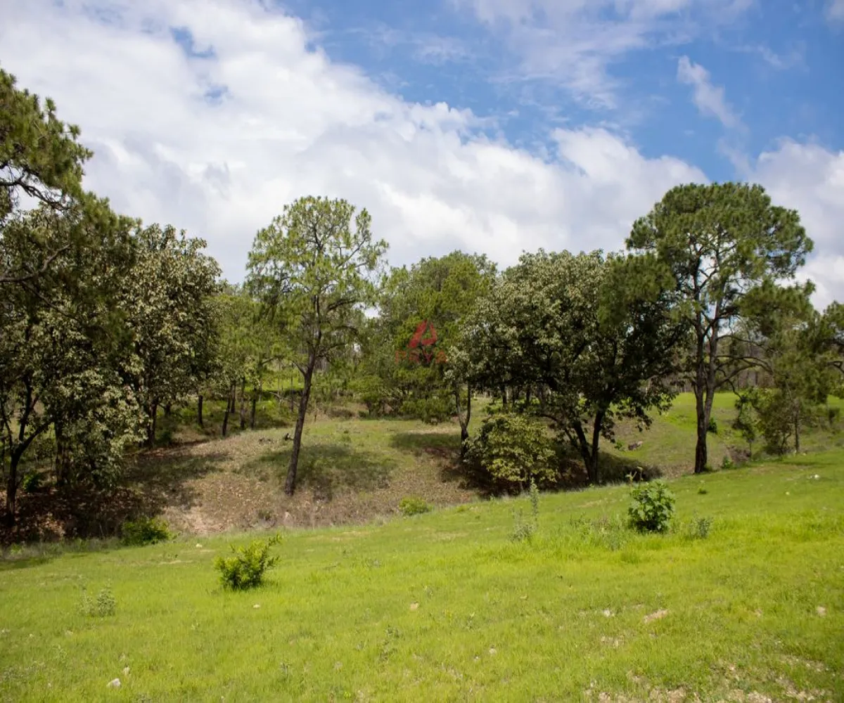 Terreno En Venta,Emiliano Zapata ,PARCELA 16125, El Arenal, Jalisco 45364,PARCELA,pWQO1C9 Terreno En Venta,Emiliano Zapata ,PARCELA 16125, El Arenal, Jalisco 45364,PARCELA,pWQO1C9